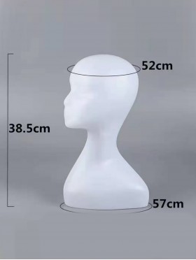 Head Display